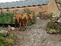 somiedo apartamentos,turismo rural,villar de vildas,casas de aldea,pornalcal,somiedo,casa rural,rurales,dormir villar de vildas, la pornalcal,vacaciones,ofertas,alojamientos rurales,hotel,hoteles,apartamento,somiedo,villar de vildas,la pornalcal,